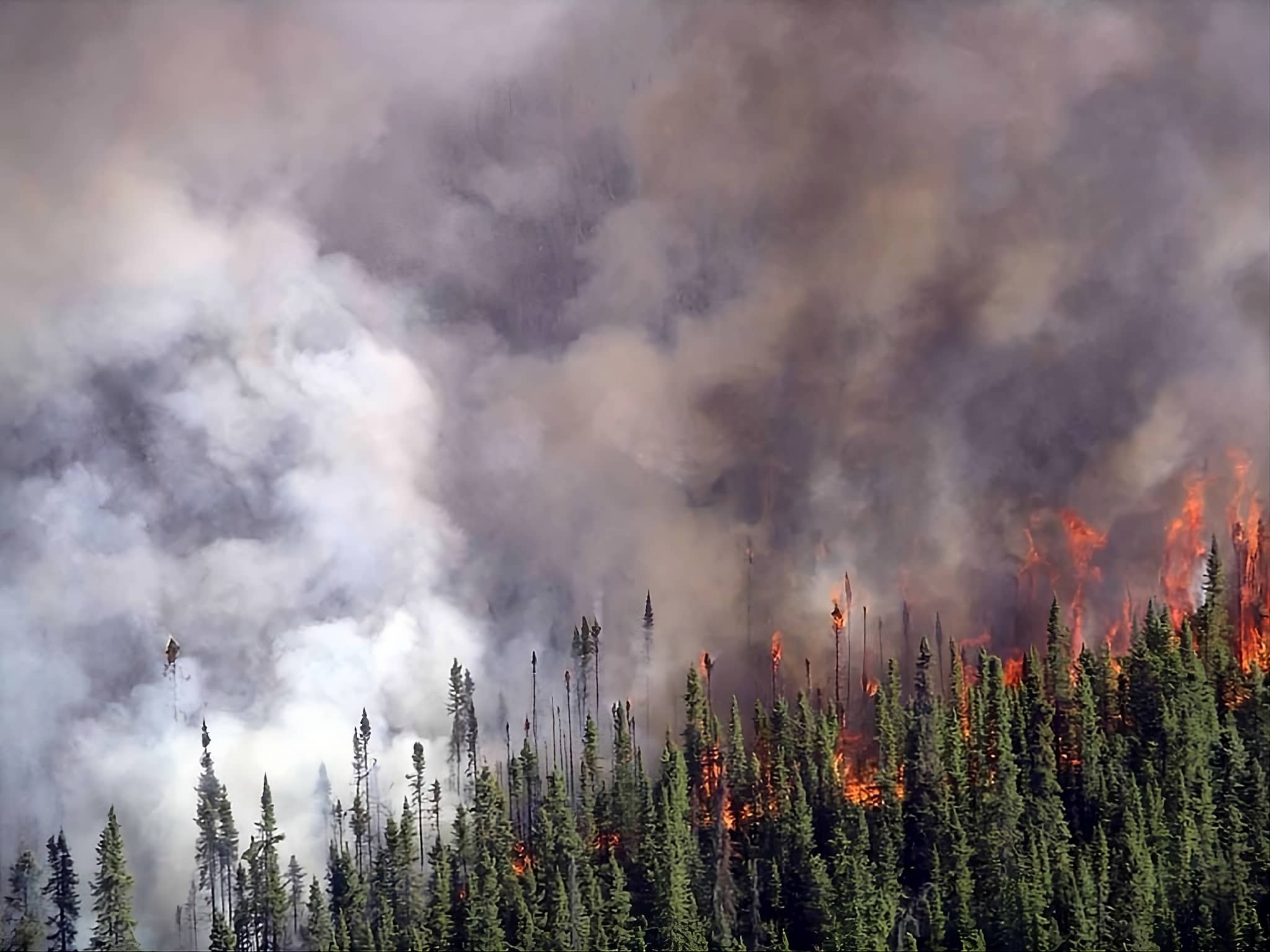 Wildfire scene with dashboard interface showing FireCall protection services