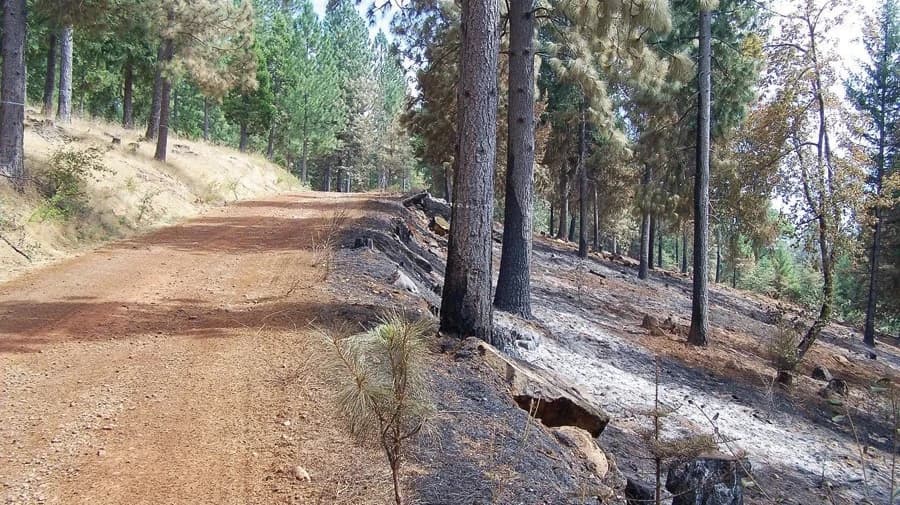 Fire Line Construction