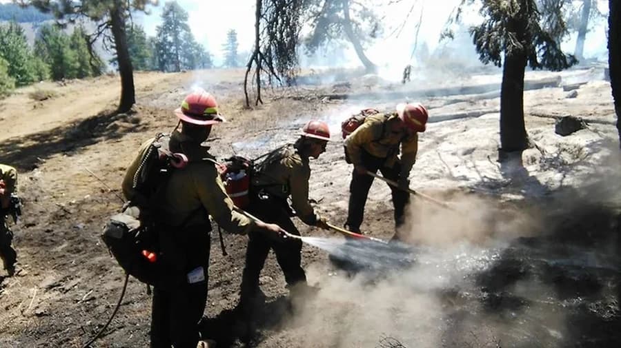 Fire Line Construction