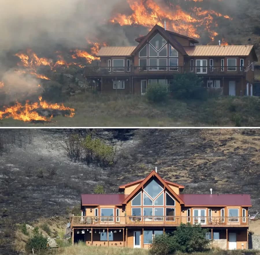 Fire Line Construction